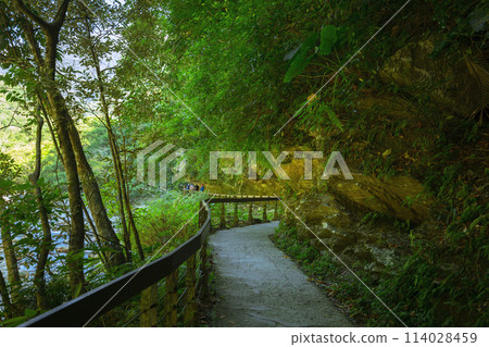 砂卡礑步道,台灣,花蓮,太魯閣,風景區,森林步道,Sanda、Taiwan、Hualien、Taro 砂卡礑步道,台灣,花蓮,太魯閣,風景區,森林步道,Sanda、Taiwan、Hualien、Taro 114028459