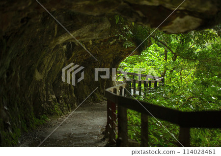 砂卡礑步道，台灣，花蓮，太魯閣，風景區，森林步道，Sanda、Taiwan、Hualien、Taro 114028461