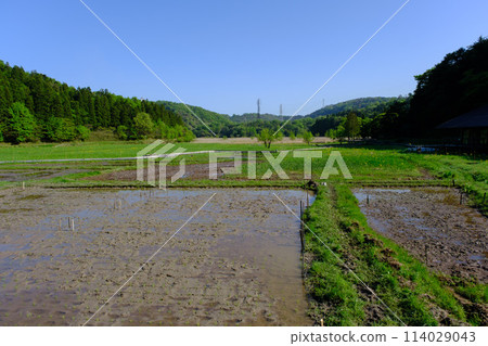 福井縣敦賀市中池見濕地 114029043