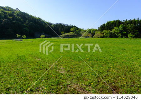 Nakaikemi Wetland, Tsuruga City, Fukui Prefecture Nakaikemi Wetland, Tsuruga City, Fukui Prefecture 114029046