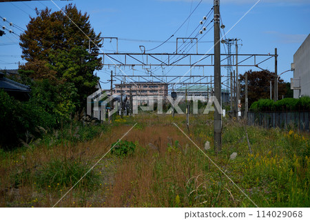 廢除路線 114029068