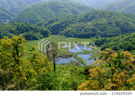 Nakaikemi Wetland, Tsuruga City, Fukui Prefecture 114029104