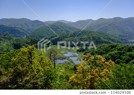 Nakaikemi Wetland, Tsuruga City, Fukui Prefecture 114029106