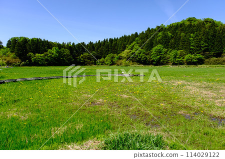 Nakaikemi Wetland, Tsuruga City, Fukui Prefecture 114029122