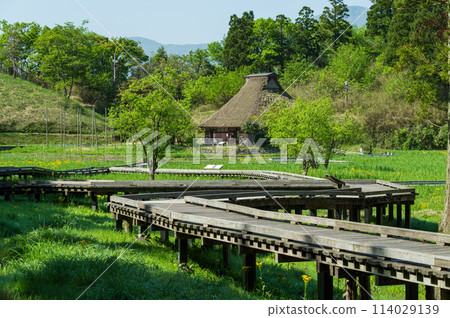 Nakaikemi Wetland, Tsuruga City, Fukui Prefecture 114029139