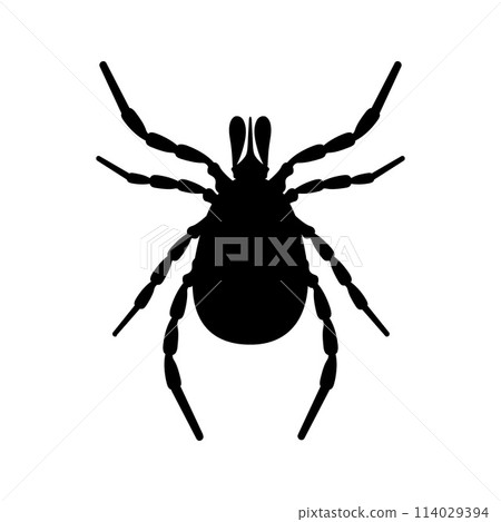 Mite. The silhouette of a tick is a top view. A blood-sucking parasite. The insect is a pest. Vector illustration isolated on a white background Mite. The silhouette of a tick is a top view. A blood-sucking parasite. The insect is a pest. Vector illustration isolated on a white background 114029394