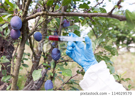 Artificial fruit coloring Artificial fruit coloring 114029570