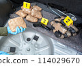 Drug smuggling in the trunk of a car 114029670