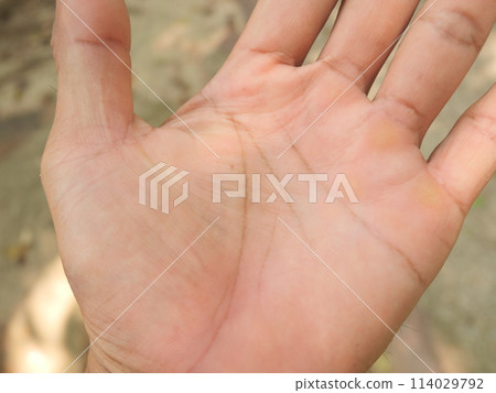 hand, finger, holding 114029792