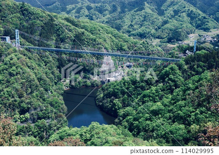 茨城縣龍神吊橋和鯉魚旗 114029995