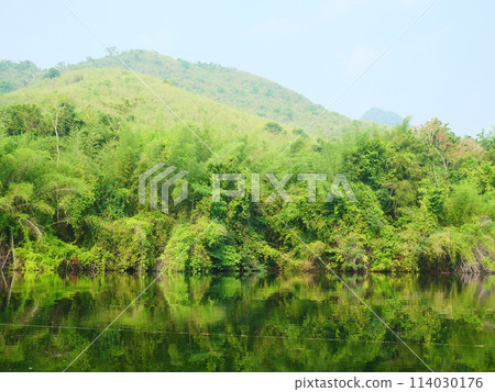 The wooden floor next to the river is so clear that you can see the green shadows of the trees along the bank 114030176