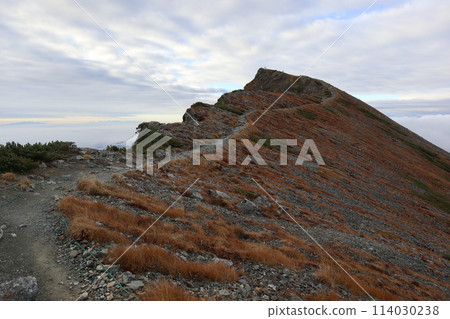 The trail to the summit of Mt. Shirouma 114030238