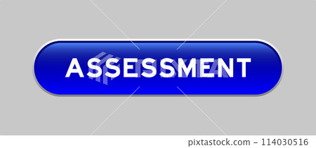 Blue color capsule shape button with word assessment on gray background 114030516