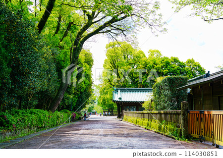 三島大社後門 三島大社後門 114030851