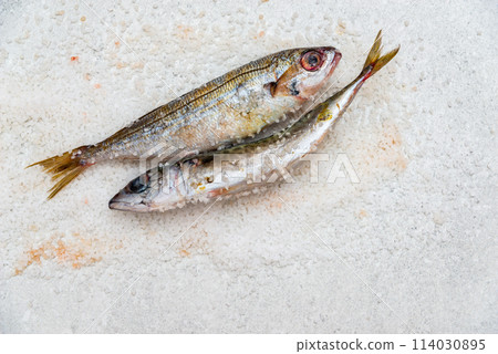 Whole raw organic mackerel fish with sea salt lying on a flat white surface 114030895