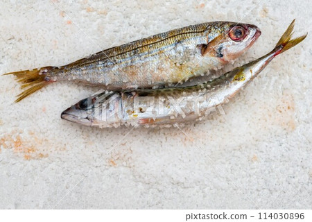 Whole raw organic mackerel fish with sea salt lying on a flat white surface 114030896