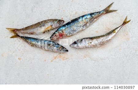 Whole raw organic mackerel fish with sea salt lying on a flat white surface 114030897