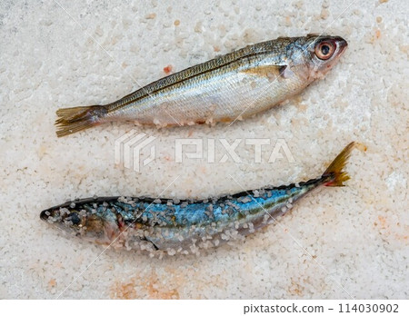 Whole raw organic mackerel fish with sea salt lying on a flat white surface 114030902