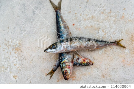 Whole raw organic mackerel fish with sea salt lying on a flat white surface Whole raw organic mackerel fish with sea salt lying on a flat white surface 114030904