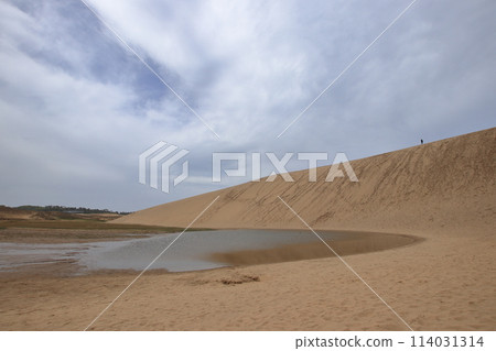 沙丘和溫泉 沙丘和溫泉 114031314