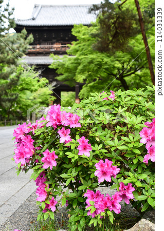 Sanmon Gate and azaleas at Nanzenji Temple, Kyoto Sanmon Gate and azaleas at Nanzenji Temple, Kyoto 114031339