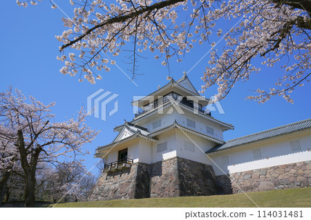 Cherry blossoms at Yukyuzan Park, Nagaoka, Niigata Prefecture, Japan 114031481