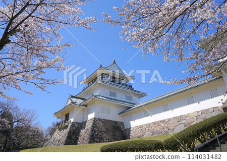Cherry blossoms at Yukyuzan Park, Nagaoka, Niigata Prefecture, Japan 114031482