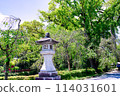 Fresh greenery at Mishima Taisha Shrine and lanterns 114031601