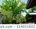 Mishima Taisha Shrine's main gate and fresh greenery 114031602