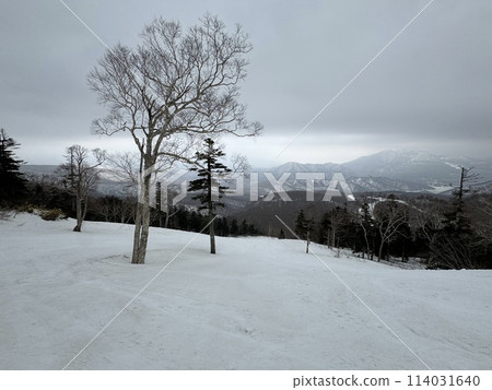 2024 年 1 月福島縣的 Grandeco 滑雪場 114031640