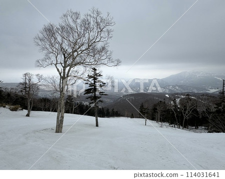 2024 年 1 月福島縣的 Grandeco 滑雪場 2024 年 1 月福島縣的 Grandeco 滑雪場 114031641