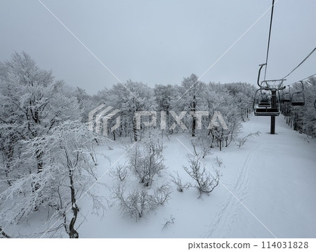 The linked lift at Nekoma Mountain in Fukushima Prefecture in January 2024 114031828