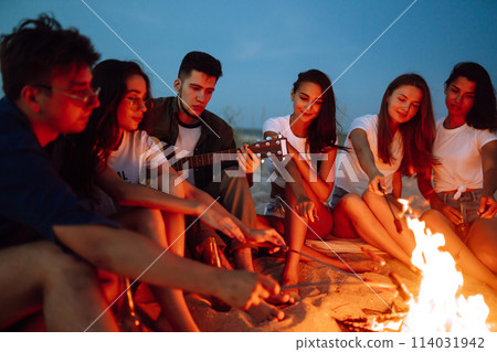 Group of young friends sitting on beach and fry sausages. One man is playing guitar. Camping time. 114031942