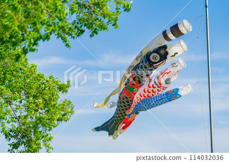 Koinobori/May image Koinobori/May image 114032036