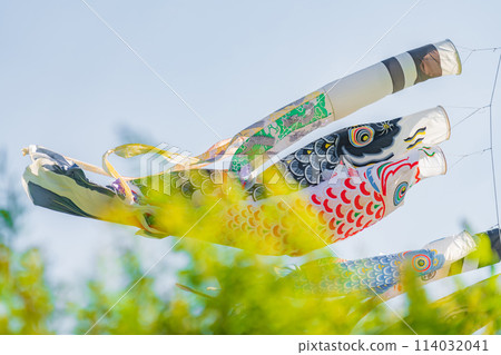 Koinobori/五月圖片 114032041