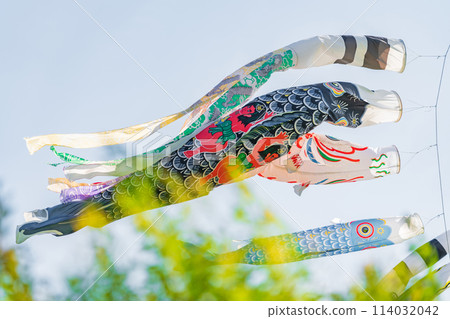 Koinobori/May image 114032042
