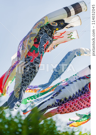 Koinobori/May image Koinobori/May image 114032045