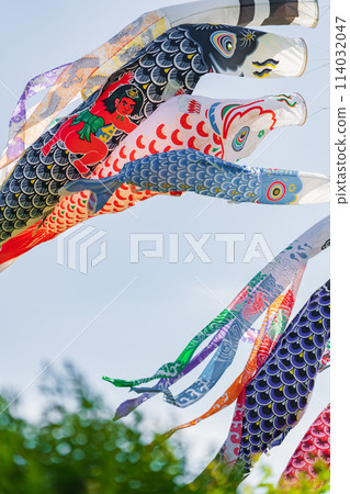 Koinobori/五月圖片 114032047