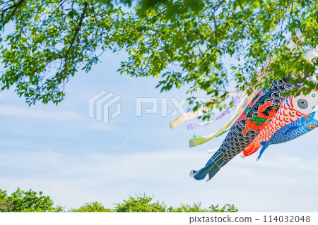 Koinobori/五月圖片 114032048