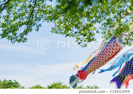 Koinobori/五月圖片 114032049