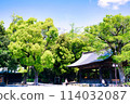 Fresh greenery at Mishima Taisha Shrine and the Entertainment Hall 114032087