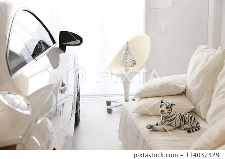 Living with your beloved car during the holiday season 114032329