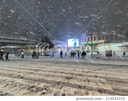 2024年1月大雪上野站前 114032352