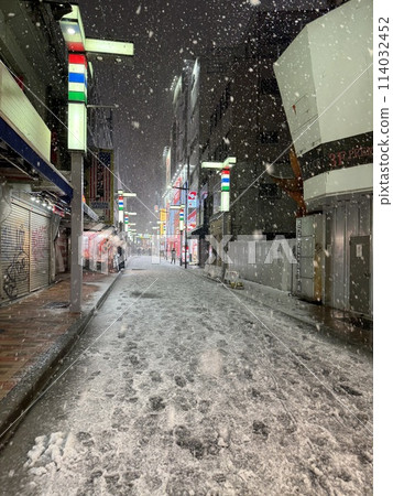 2024年1月大雪期間，在上野阿美橫子的守護下 114032452