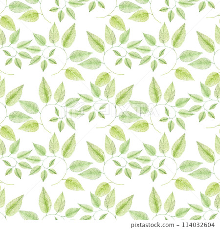 Hand drawn watercolor green twig seamless pattern isolated on white background. Can be used for textile, fabric and other printed products. 114032604