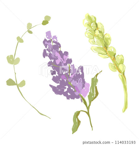 Watercolor abstract flower set of lilac and eucalyptus. Hand painted floral elements of wildflowers isolated on white background. Holiday Illustration for design, print, fabric or background. Watercolor abstract flower set of lilac and eucalyptus. Hand painted floral elements of wildflowers isolated on white background. Holiday Illustration for design, print, fabric or background. 114033193