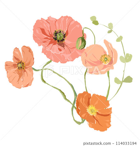 Watercolor abstract flower set of red and pink poppy, bud. Hand painted floral elements of wildflowers isolated on white background. Holiday Illustration for design, print, fabric or background. Watercolor abstract flower set of red and pink poppy, bud. Hand painted floral elements of wildflowers isolated on white background. Holiday Illustration for design, print, fabric or background. 114033194