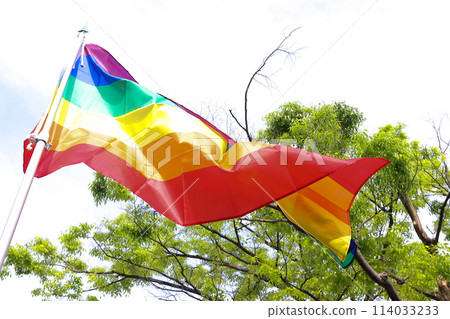 [LGBTQ+] Tokyo Rainbow Pride 114033233