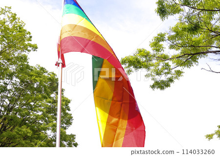 [LGBTQ+] 東京彩虹驕傲 114033260