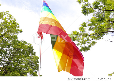 [LGBTQ+] Tokyo Rainbow Pride 114033267
